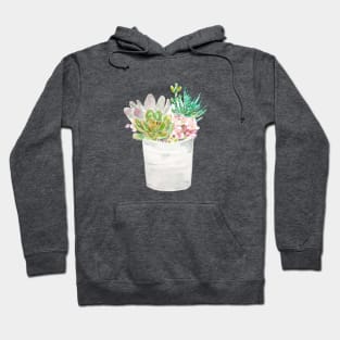 green succulent plants  in pot 2020 Hoodie